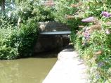 The Stratford upon Avon Canal and Bridge 29