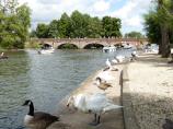 Tramway Bridge crossing the River Avon at Stratford-Upon-Avon, England.